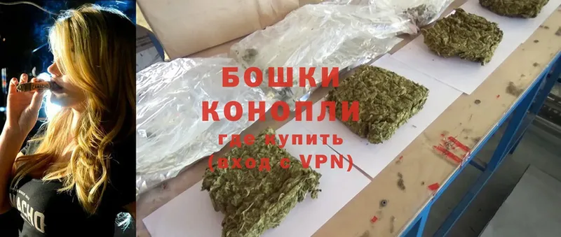 МЕГА tor  Приозерск  Бошки Шишки OG Kush 